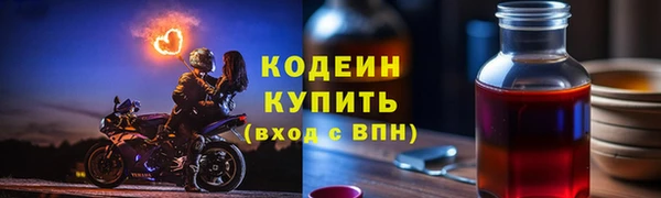 крисы Абаза