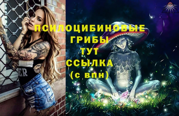 спиды Алексин