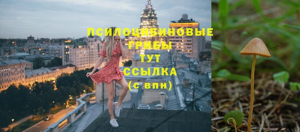 спиды Алзамай