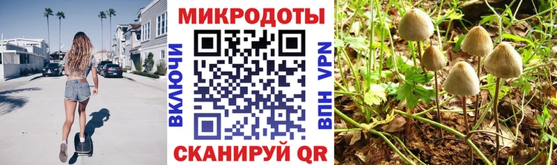 что такое   Киржач  мориарти клад  Псилоцибиновые грибы прущие грибы 